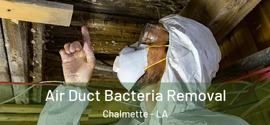  Air Duct Bacteria Removal Chalmette - LA
