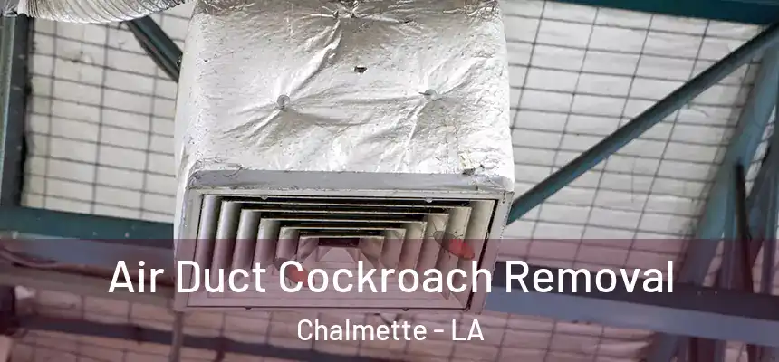  Air Duct Cockroach Removal Chalmette - LA