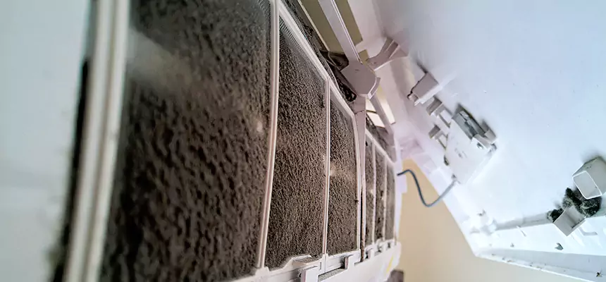 Preventive Air Duct Bacteria Removal in Chalmette