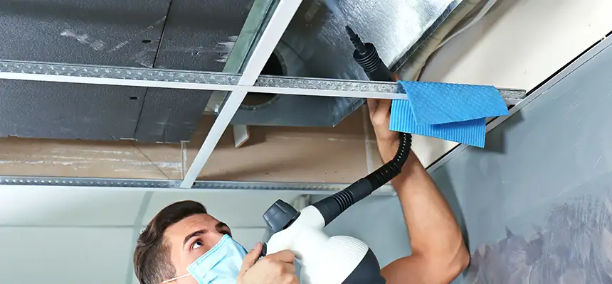 Our Air Duct Rodent Removal Services in Chalmette, LA