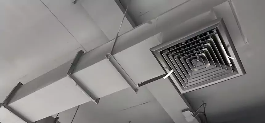 Our Rodent Droppings In Vents Services in Chalmette, LA