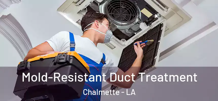  Mold-Resistant Duct Treatment Chalmette - LA