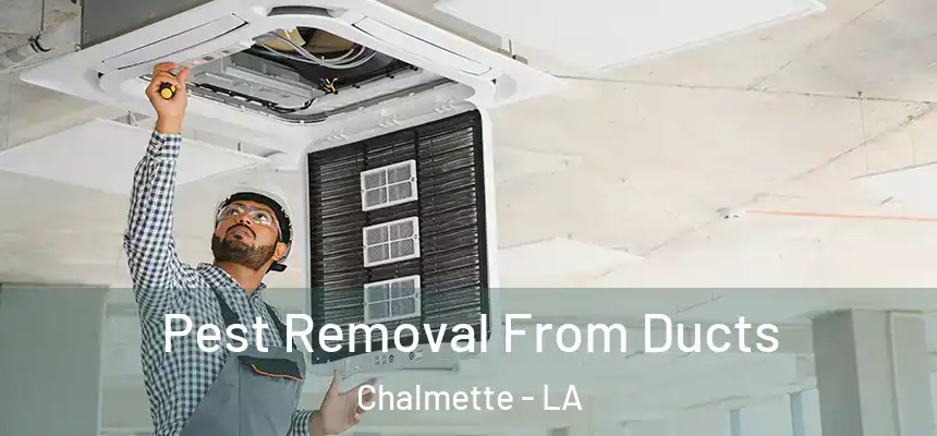  Pest Removal From Ducts Chalmette - LA
