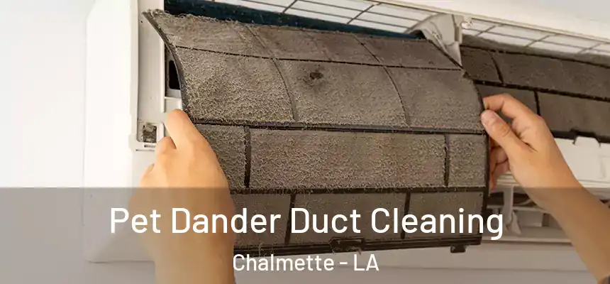  Pet Dander Duct Cleaning Chalmette - LA