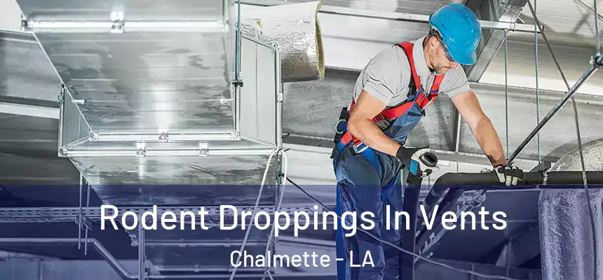  Rodent Droppings In Vents Chalmette - LA