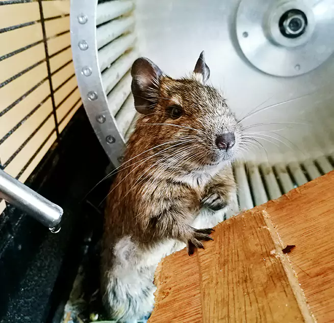 Why Homeowners & Businesses Trust Us Chalmette, LA?