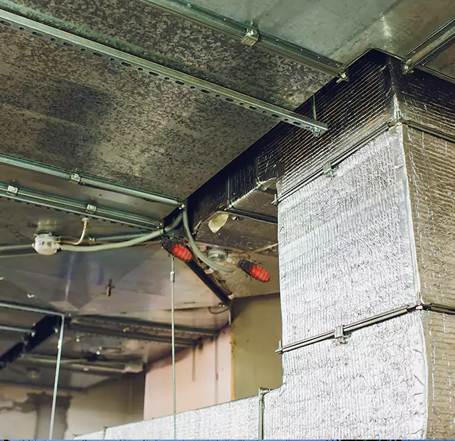 Why Homeowners & Businesses Trust Us Chalmette, LA?