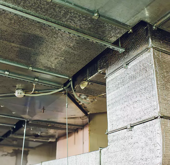 Why Homeowners & Businesses Trust Us in Chalmette, LA?